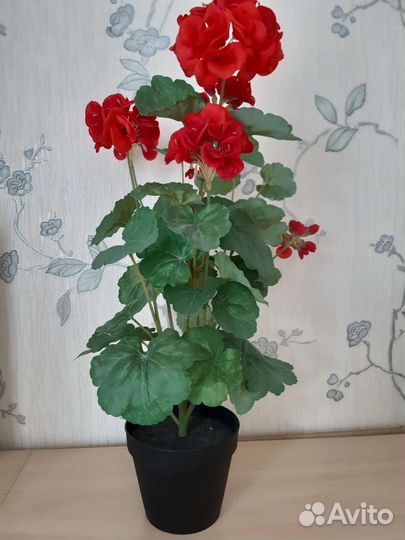 Пеларгония герань искусственная пионы
