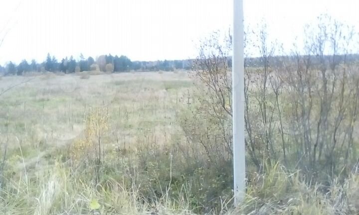 Участок 3,1 га (СНТ, ДНП)