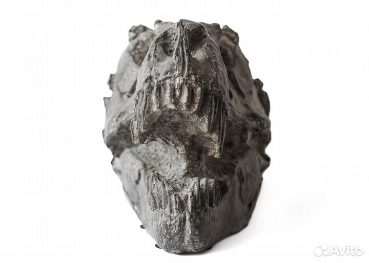 Череп T. Rex (реплика) / Полный раз**б интерьера