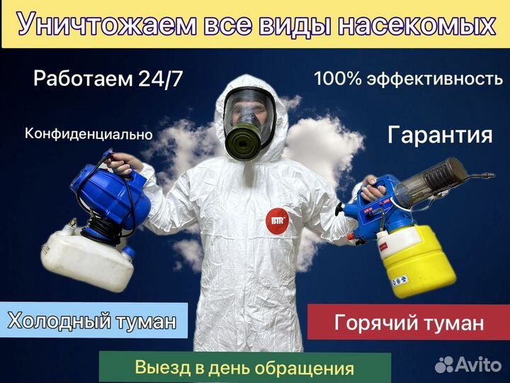 Уничтожение тараканов и клопов