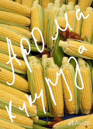 Ароматизатор жидкий Кукуруза