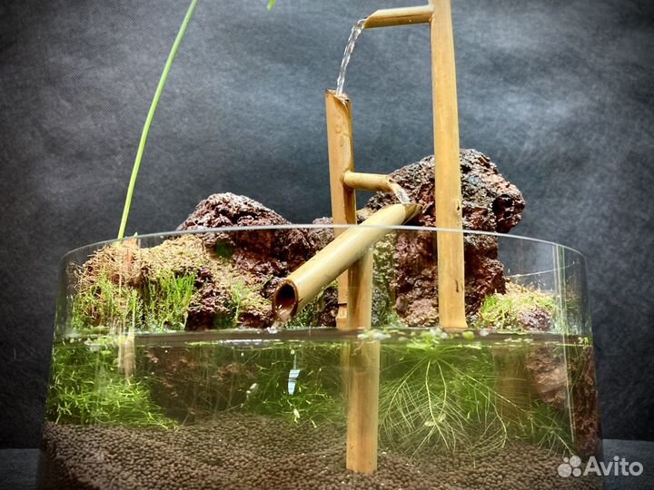 Японский водопадик