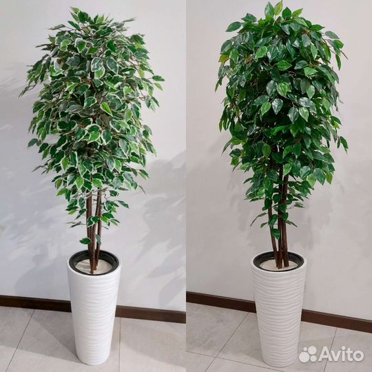 Искусственное дерево растение фикус Бенджамина