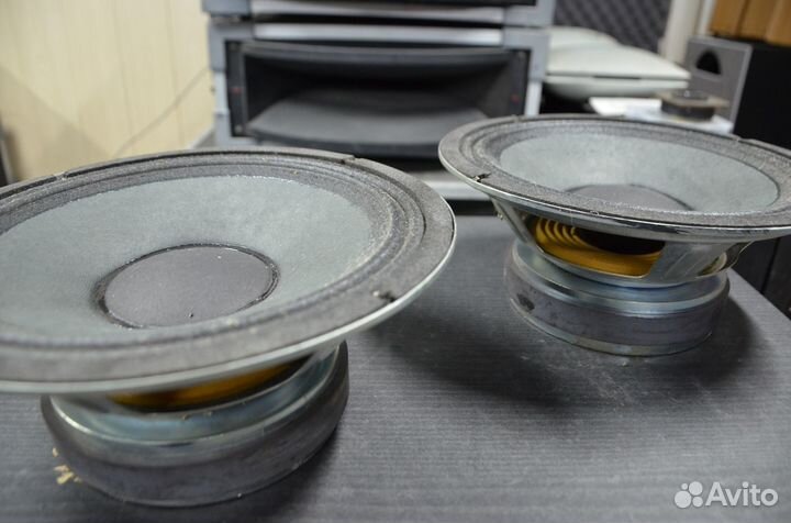 Динамики HH Acoustics 10