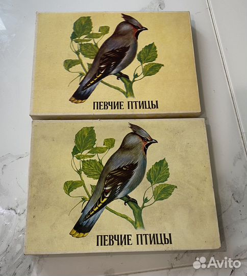 Редкие наборы спичек «Певчие птицы» СССР