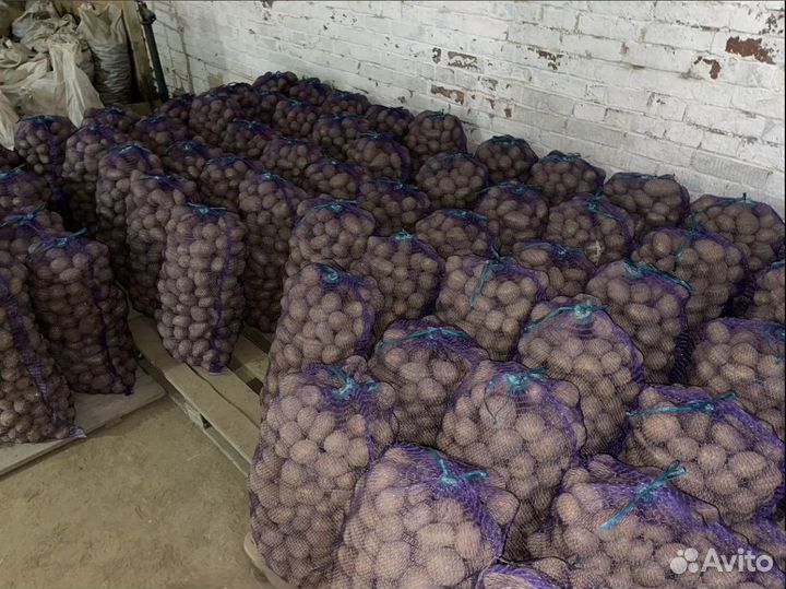 Картофель оптом