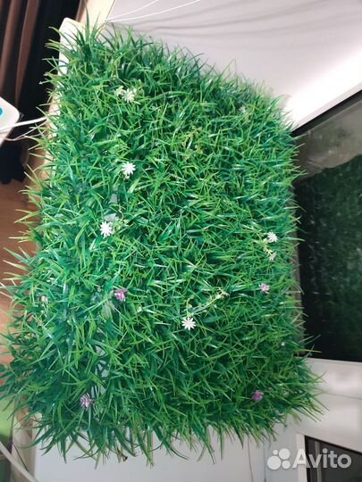 Самшитовый коврик