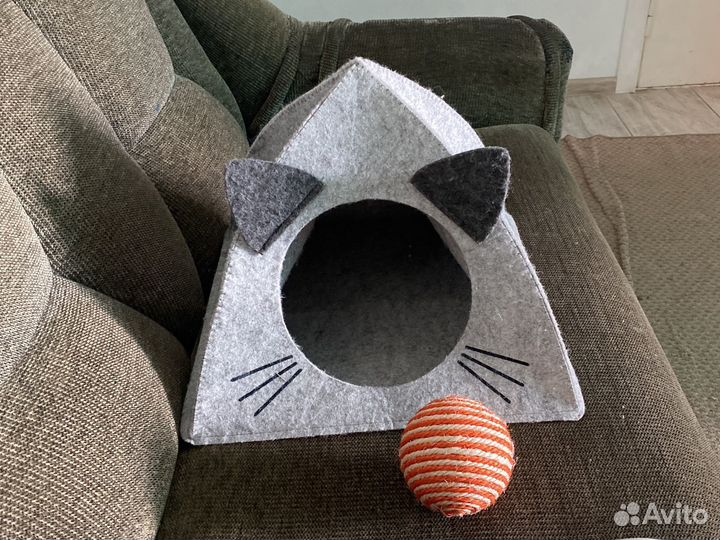 Кошечка в дар бесплатно с домиком и едой и лотком