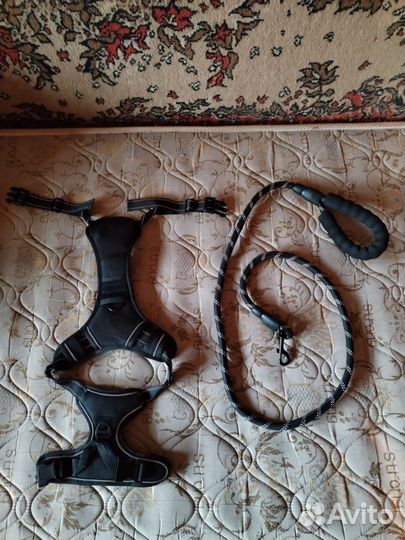 Шлейка поводок для собаки 1.5м