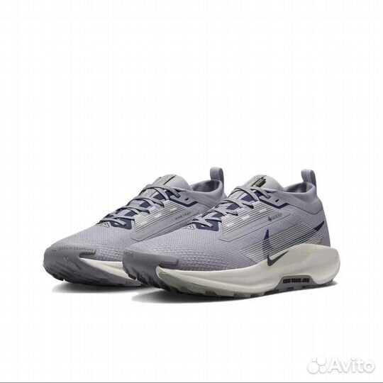 Кроссовки Nike Pegasus Trail 5 gore tex