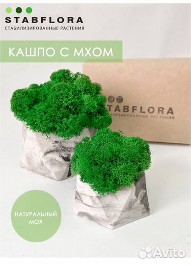 Кашпо со мхом