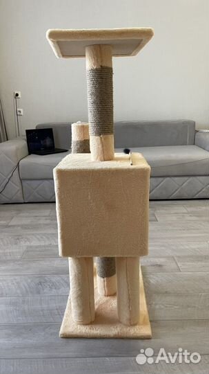 Кошачий дом