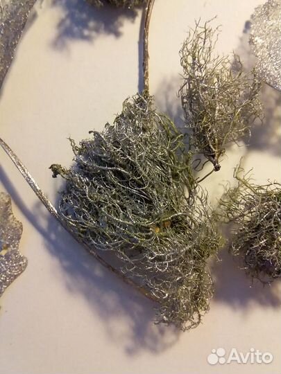 Прозрачные листья и мох для декора