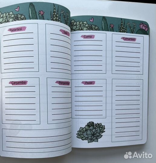 Турецкий ежедневник