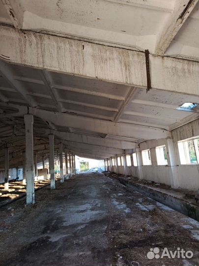 Ферма в разбор