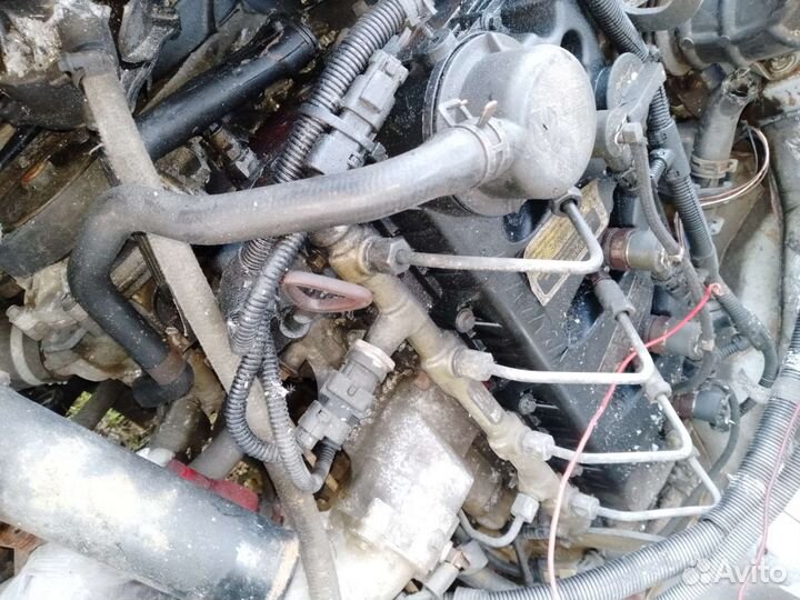 Двигатель на Газель cummins