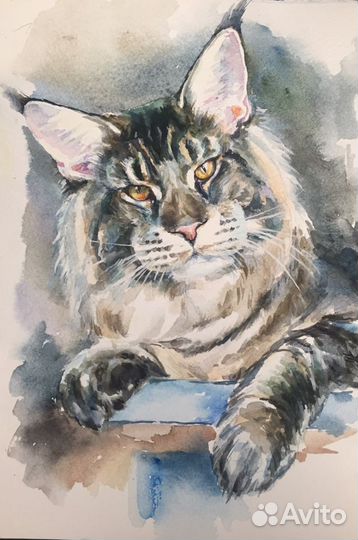 Картина с кошкой. Акварель