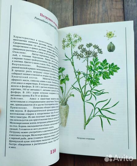 Ботанические книги специи, растения