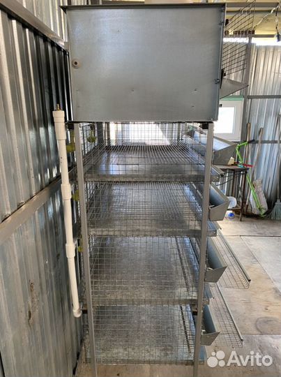 Клетка для перепелок