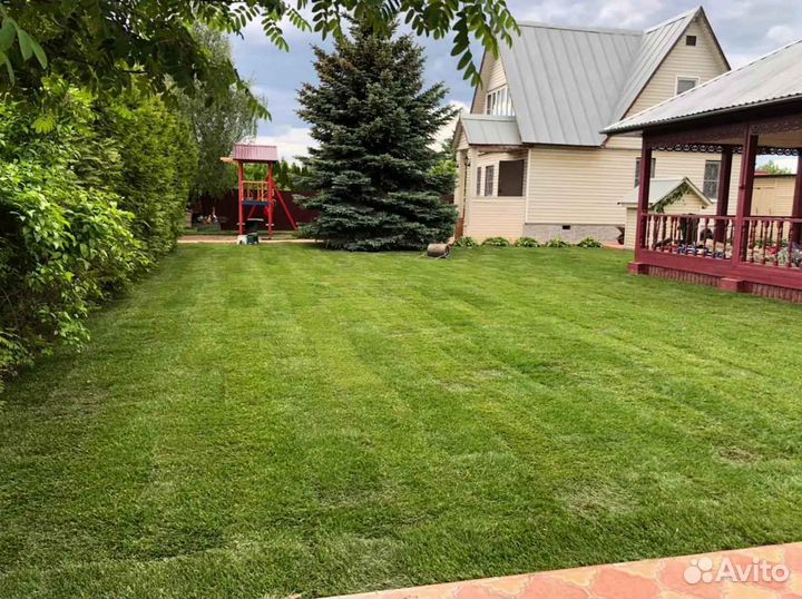 Рулонный газон, укладка, продажа