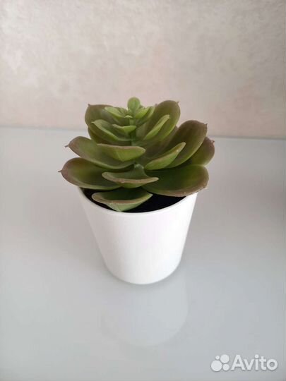 Искусственные цветы IKEA икея