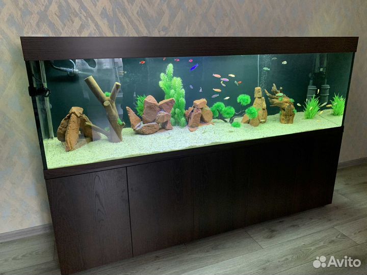 Аквариумы, готовые и на заказ, любые размеры