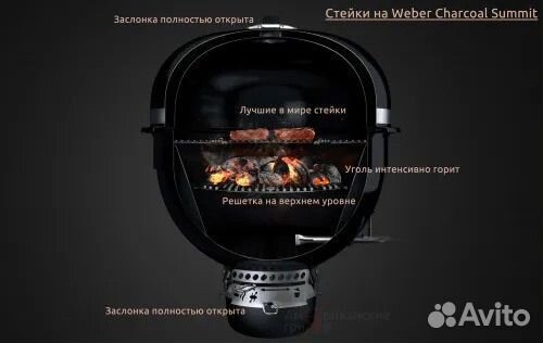 Гриль угольный Weber Kamado E6