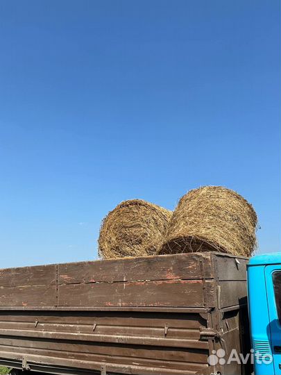 Сено Люцерна