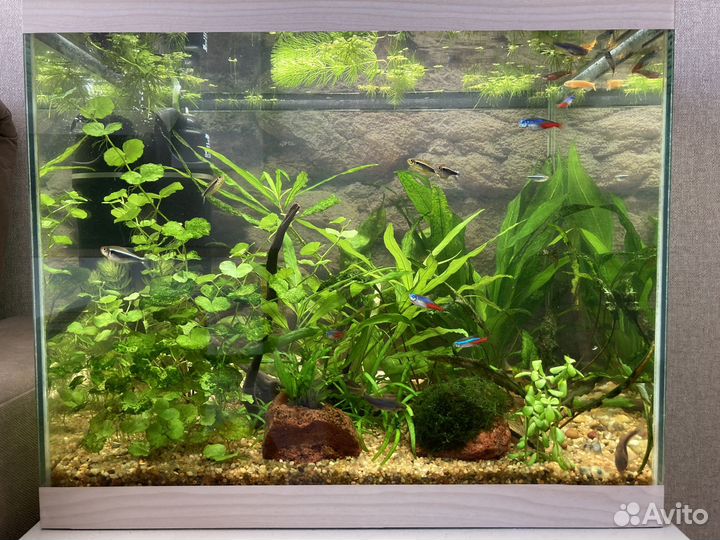 Аквариум 55 л