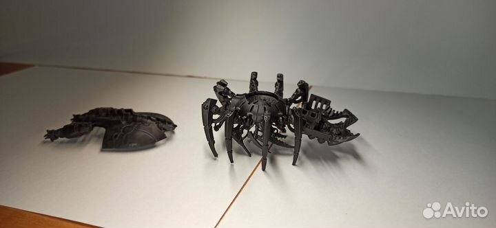 Каноптековый паук/Canoptec Spider