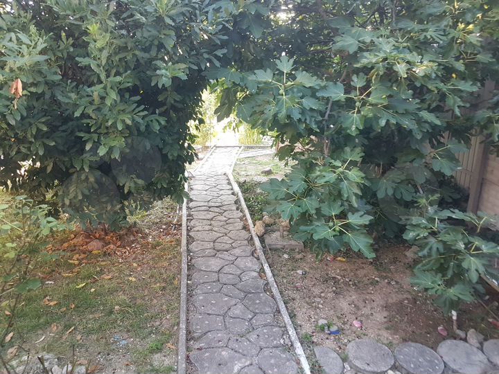 Участок 7,3 сот. (СНТ, ДНП)