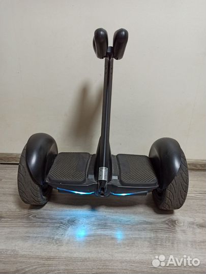 Сигвей minipro