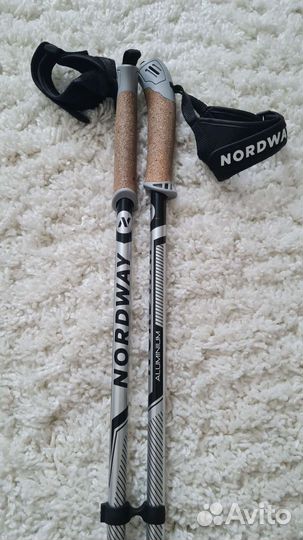 Лыжные палки