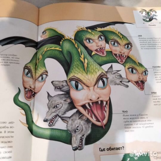 Книга энциклопедия