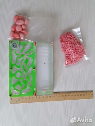 Муравьиная ферма без муравьев