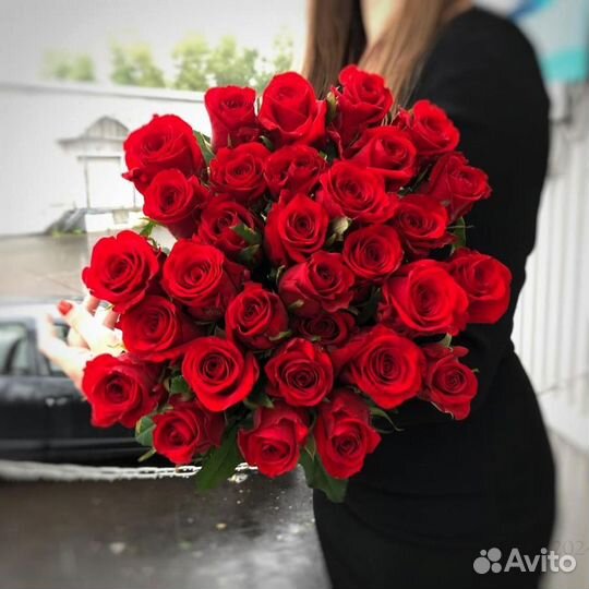 Роза Россия 40-70 см