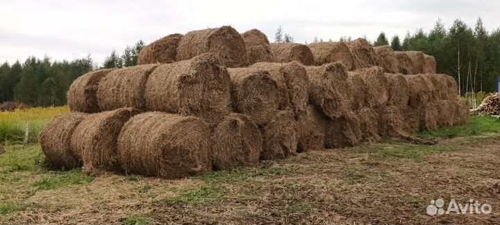 Солома в тюках