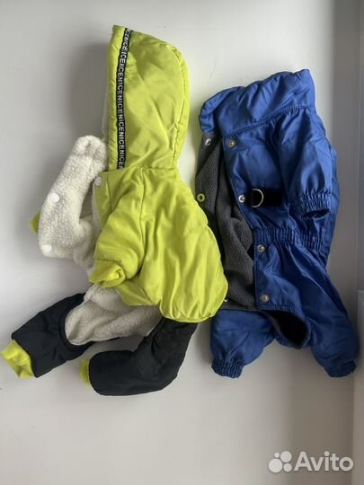 Одежда для собак