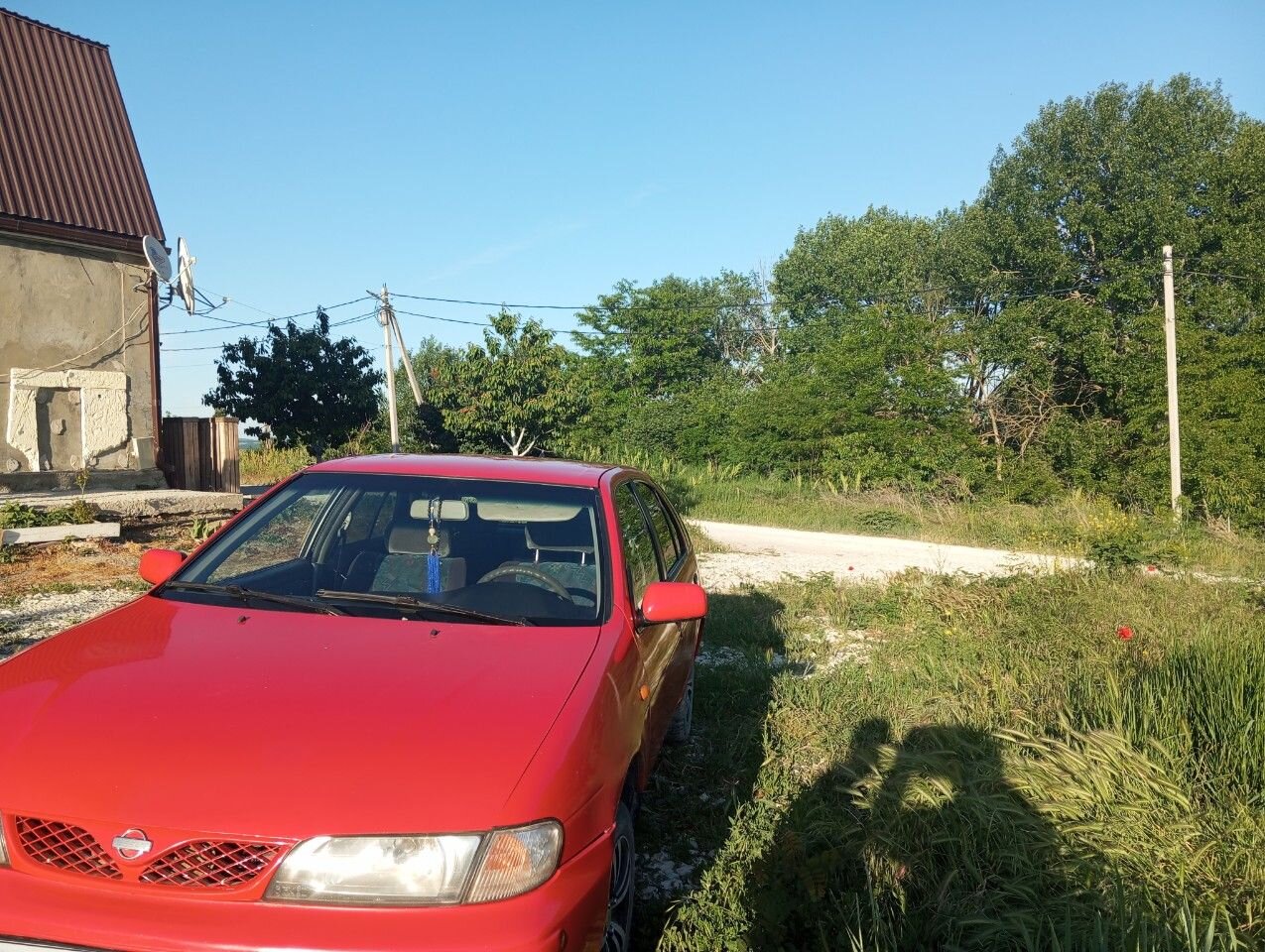 Nissan Almera: фото владельца