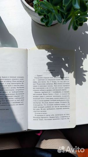 Солёный ветер