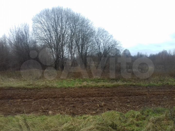 Участок 40,5 сот. (ИЖС)