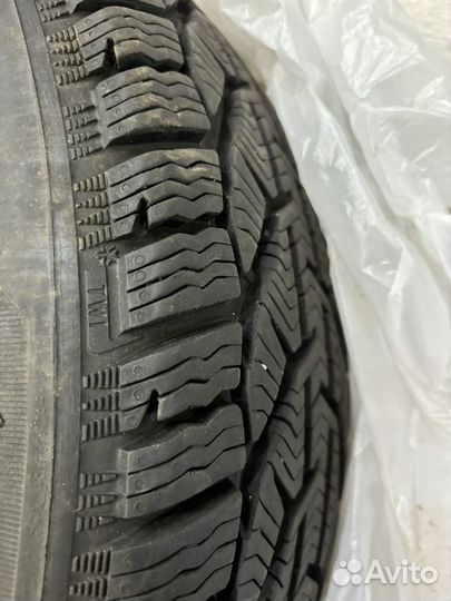 Tigar Winter 185/60 R15