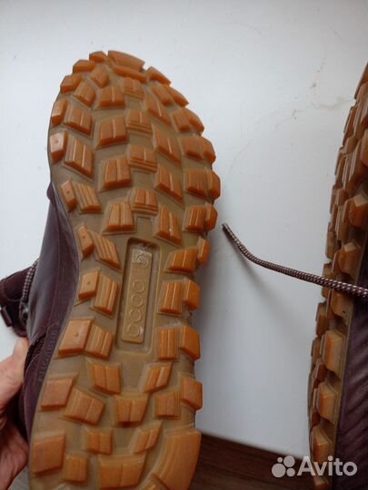 Ботинки женские Ecco phorene р. 38