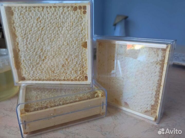 Мёд 2023, белая акация