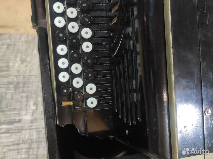 Баян тульский