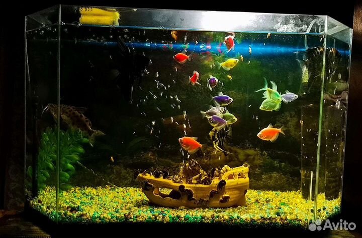 Аквариум