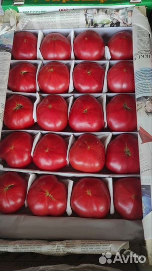 Томат в ассортименте