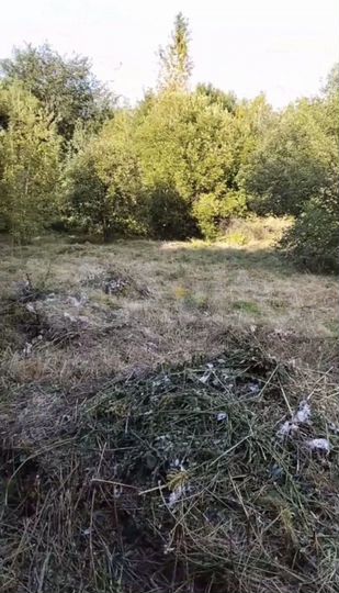 Участок 5 сот. (ИЖС)