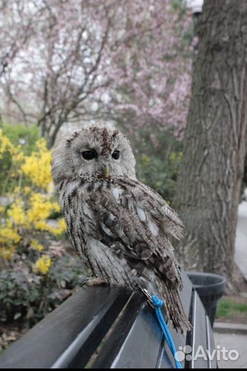 Фотоссессия