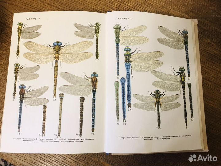 Справочники Птицы СССР Насекомые СССР и др
